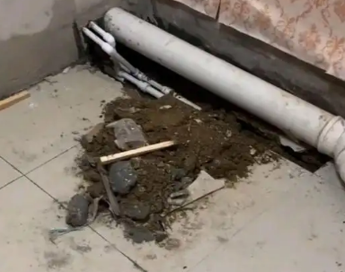 湛江卫生间漏水检测哪家好