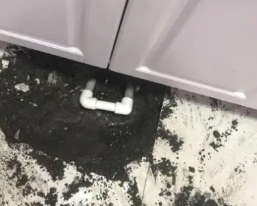 湛江查漏水哪家好